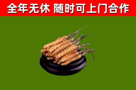 怀化市烟酒回收冬虫夏草.jpg